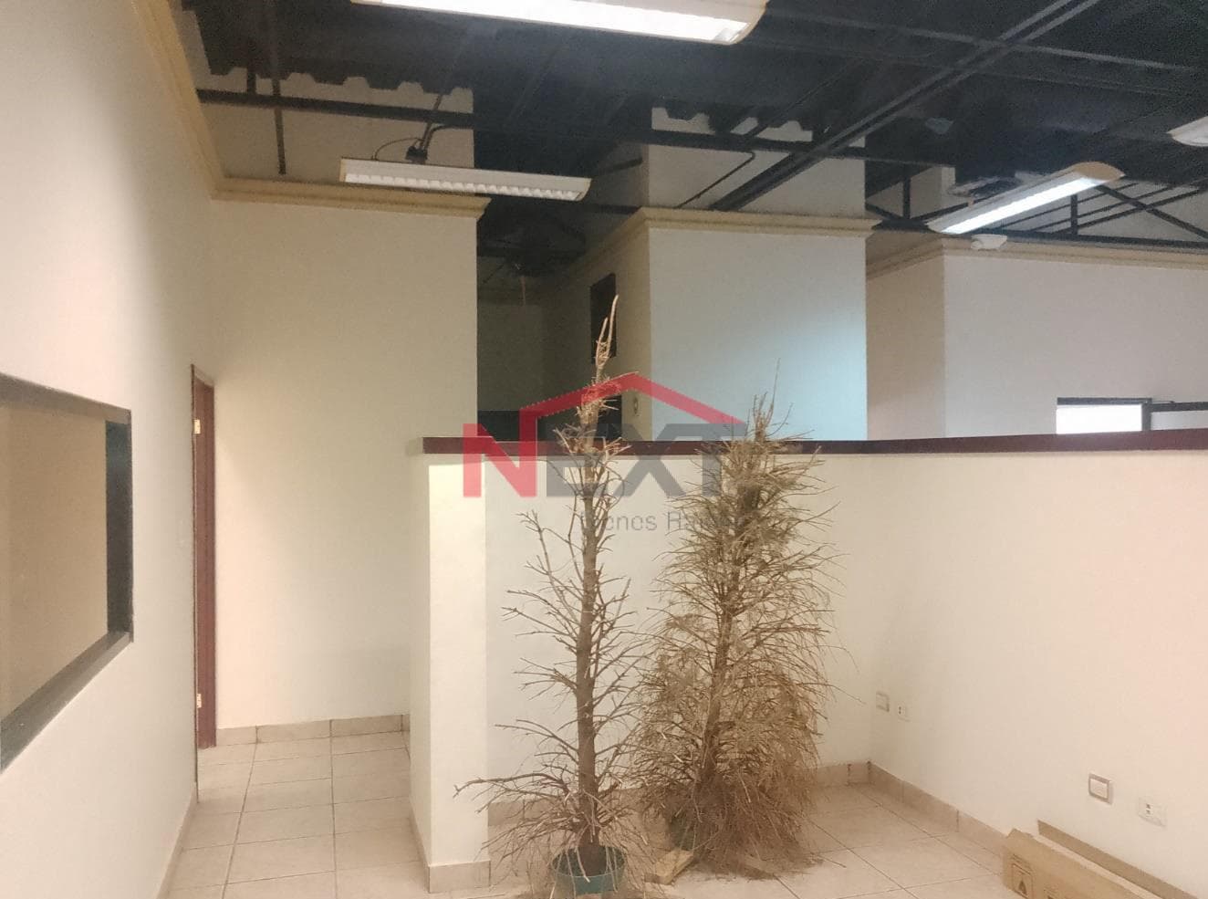 OFFICES FOR RENT IN PLAZA NAVARRETE