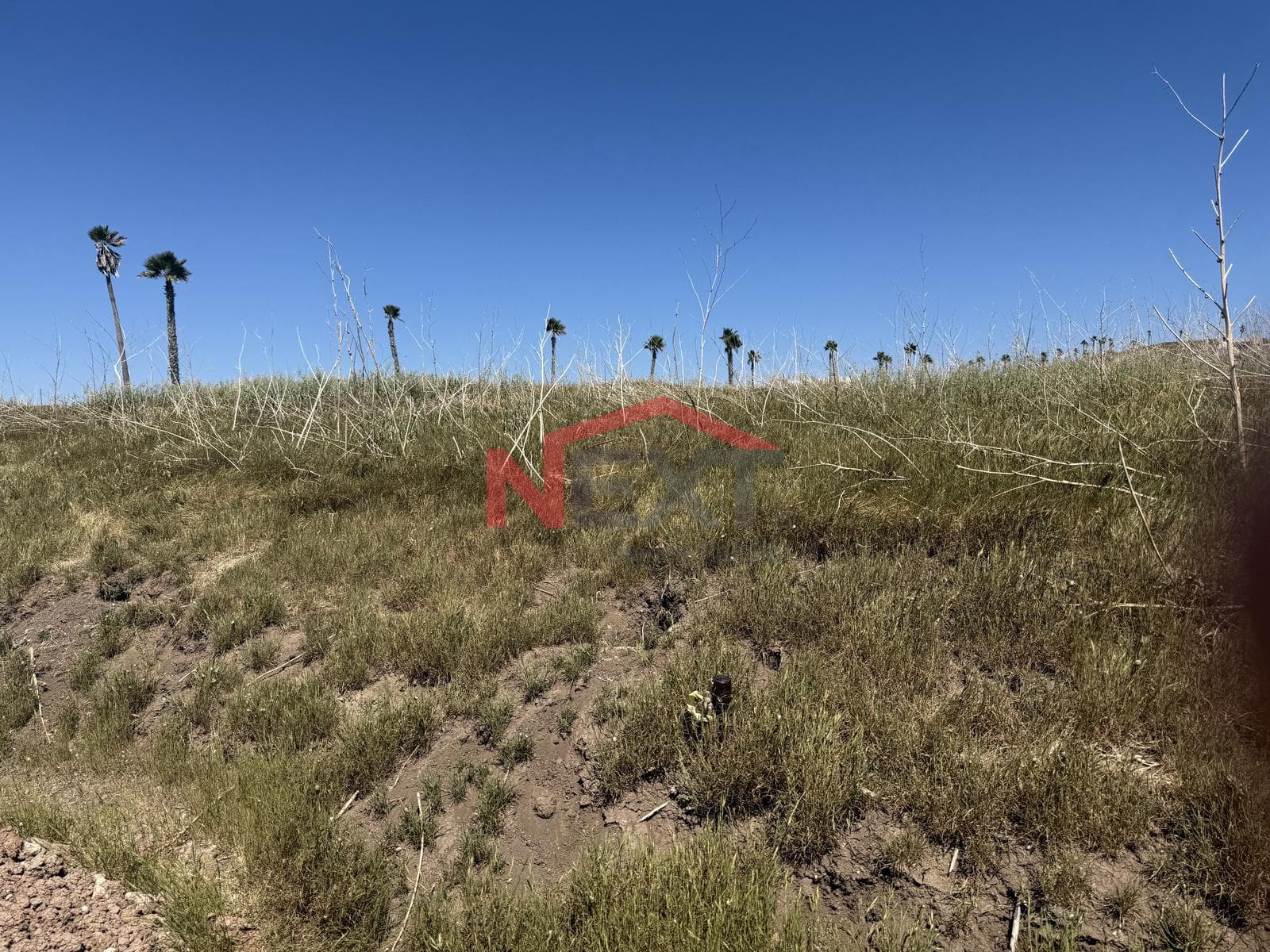 Land for Sale (Transfer) Costa Dorada Residential - Rosarito Beaches