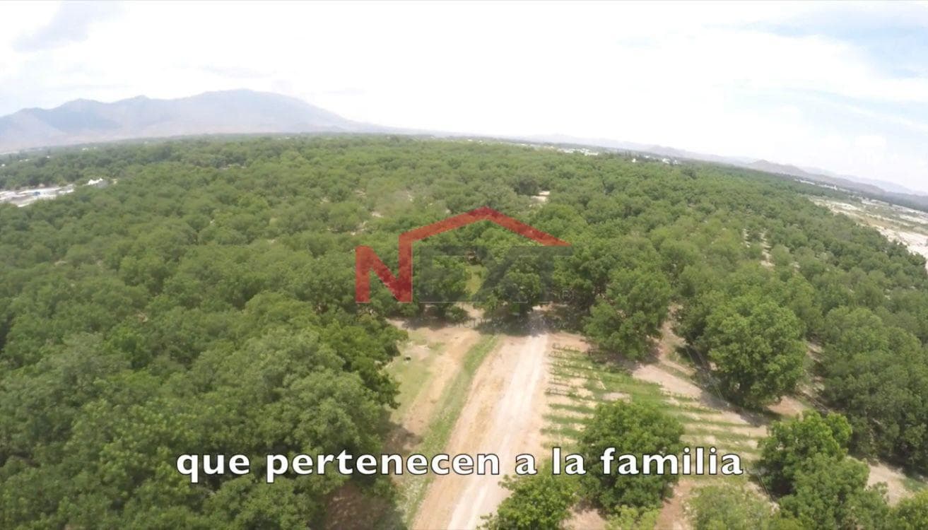 Boutique Hotel for Sale | 6 Rooms + 5 Bungalows – Parras de la Fuente, Coahuila