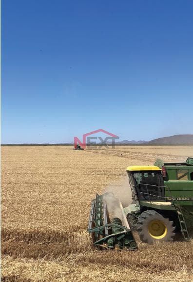 Agricultural fields for sale, Santa Edith?