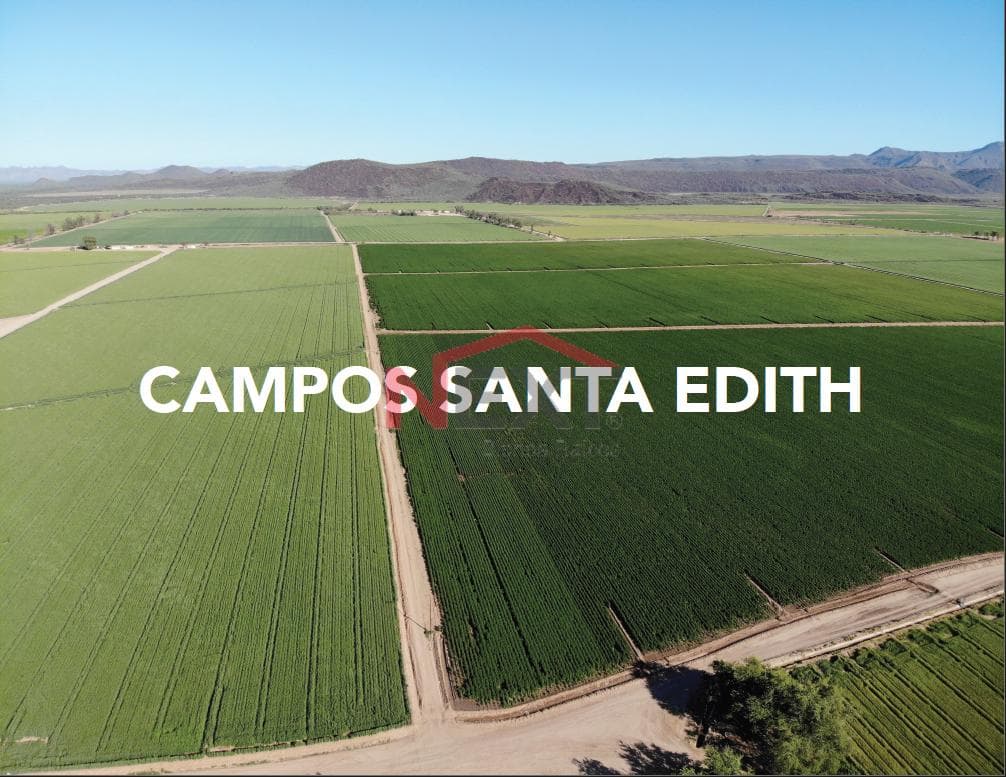 Agricultural fields for sale, Santa Edith?