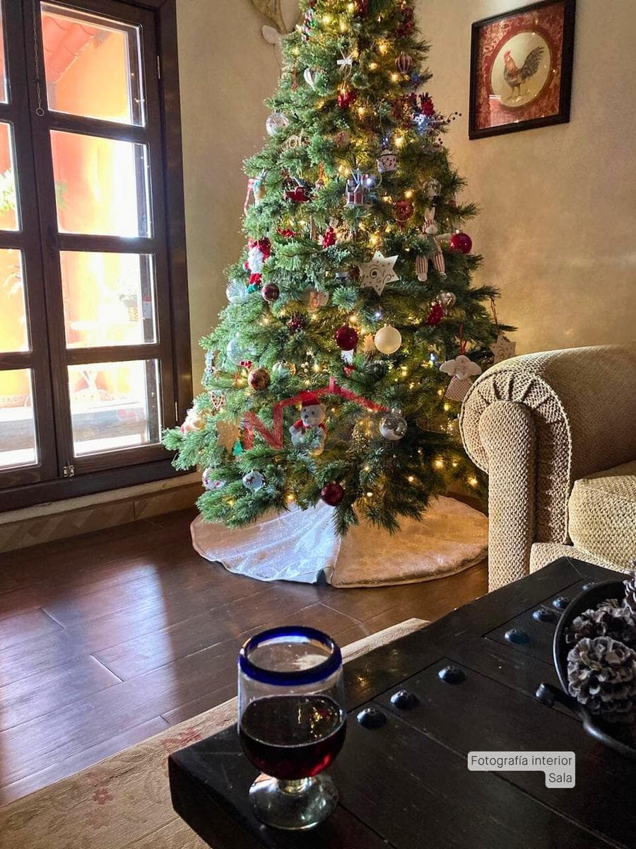HOUSE FOR SALE IN THE TOWN OF HUASABAS, SONORA