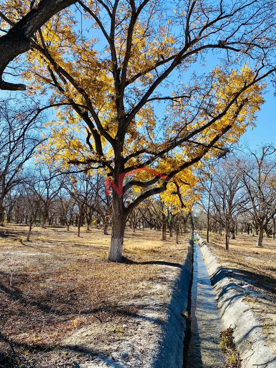 Residential Land for Sale | Hacienda del Márquez – Parras de la Fuente, Coahuila