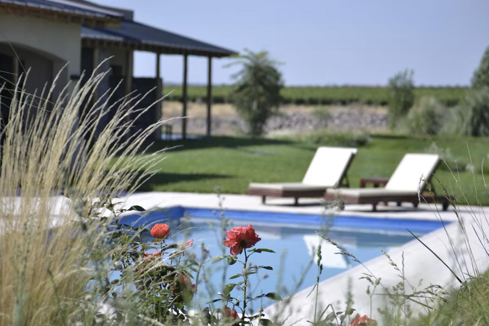 House in Vista Flores
