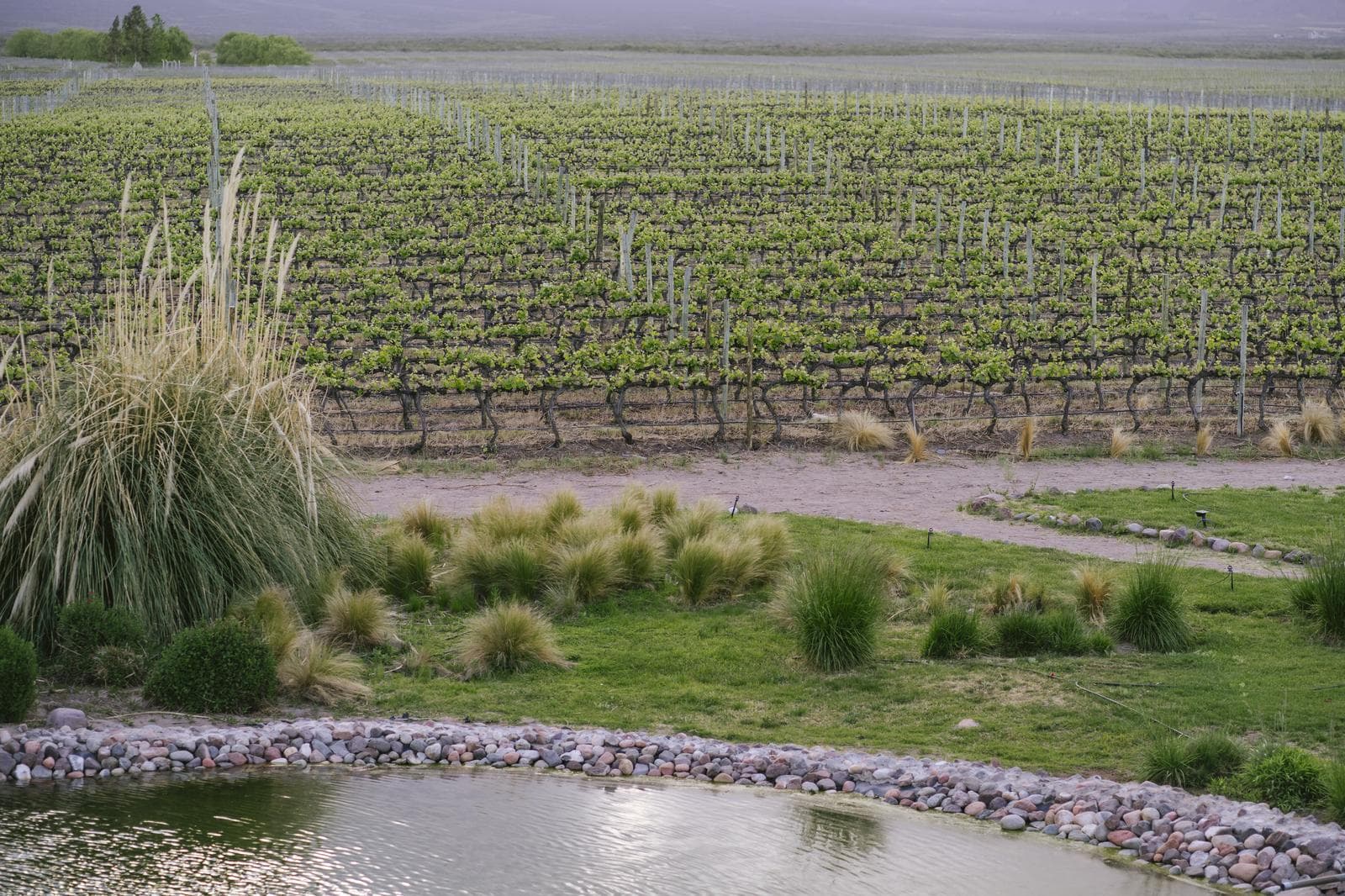 House for Sale Among the Vineyards at La Morada Lodge, Mendoza