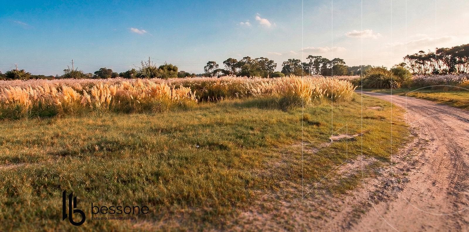 Land on the Shores of Laguna de Mar Chiquita