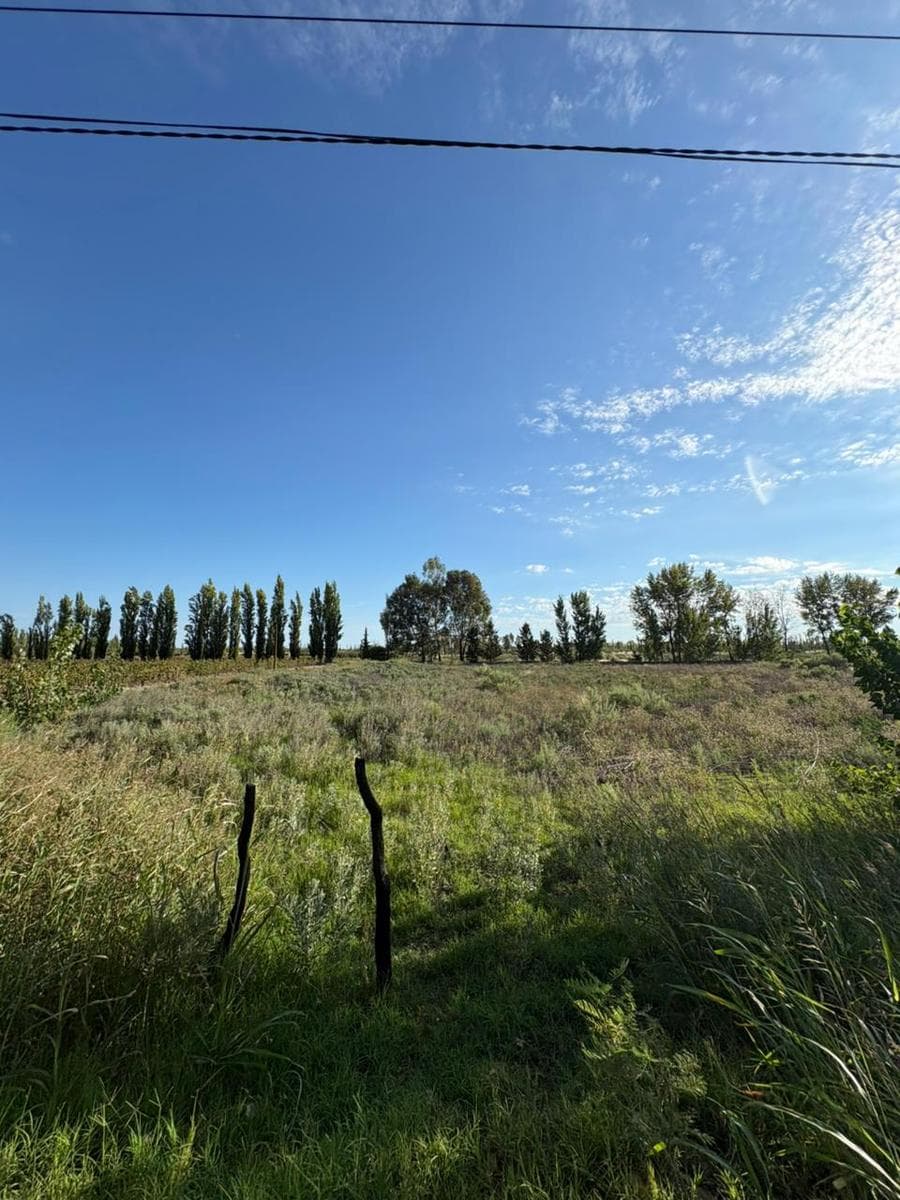 Land in Bowen