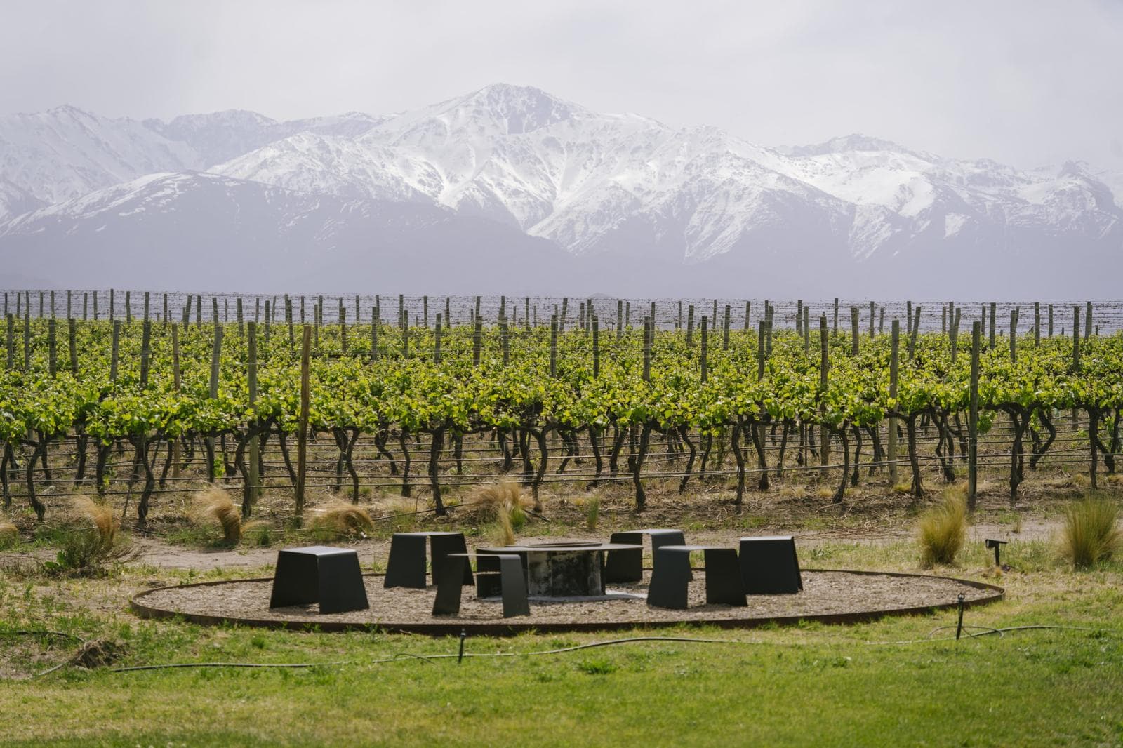 For Sale: La Morada Lodge, Casa Los Olivos, Uco Valley, Mendoza