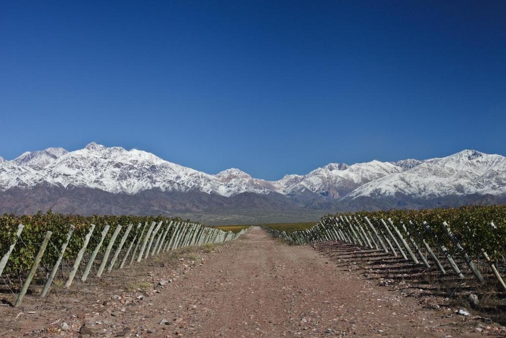 For Sale: La Morada Lodge, Casa Los Olivos, Uco Valley, Mendoza