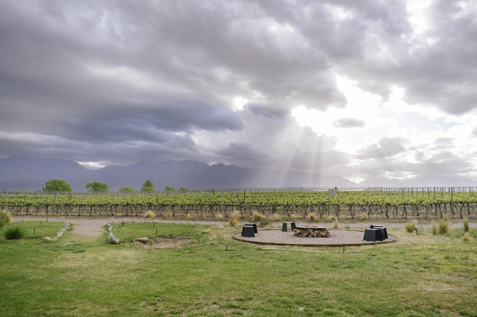 For Sale: La Morada Lodge, Casa Los Olivos, Uco Valley, Mendoza