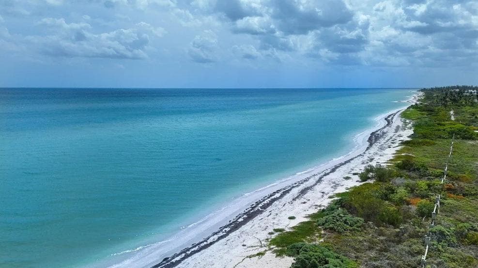 Land for Sale in Mérida