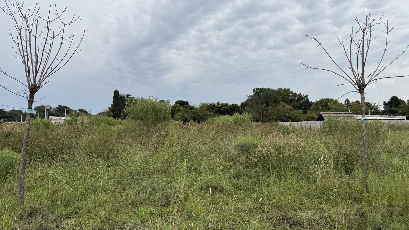 I discovered this beautiful piece of land in Las Perdices | Lobos
