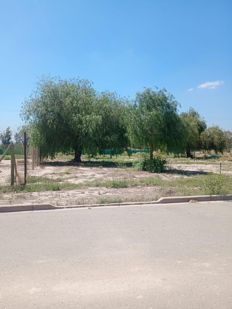 Land in Guaymallen