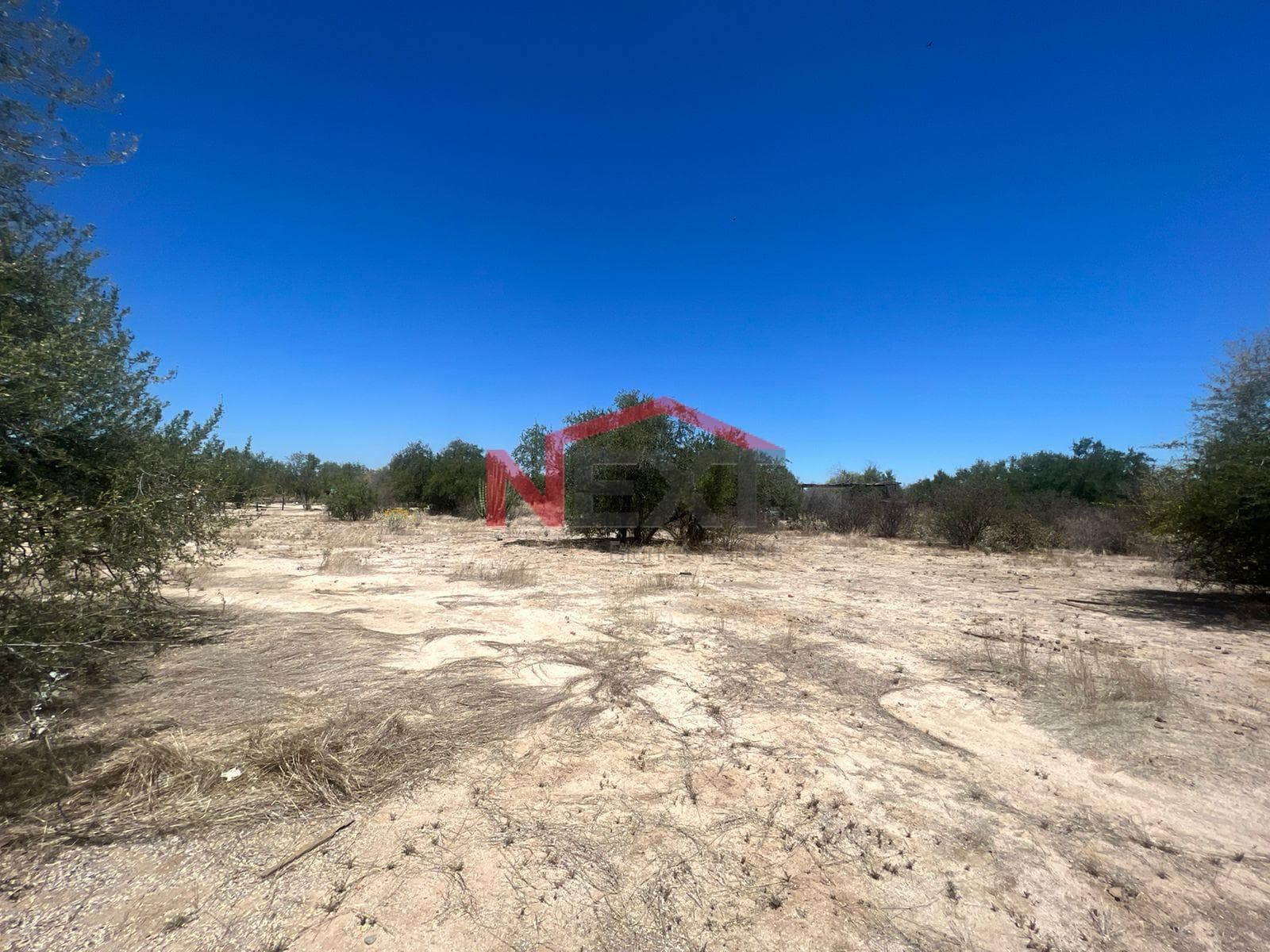 Land for Sale in San Pedro, Sonora