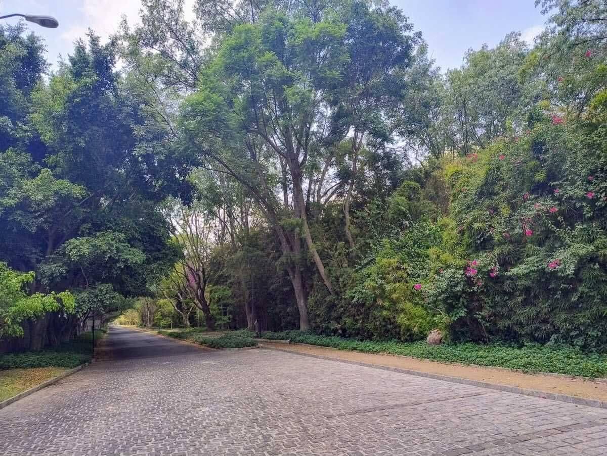 Lot in the Los Olivos Subdivision