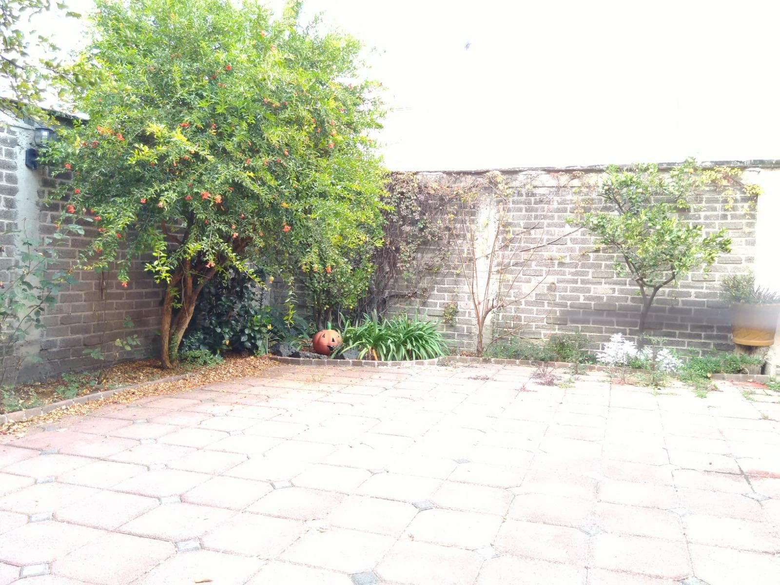 House for Sale in Los Olivos, Coyoacán, with a Terrace. Gated community with 24-hour security