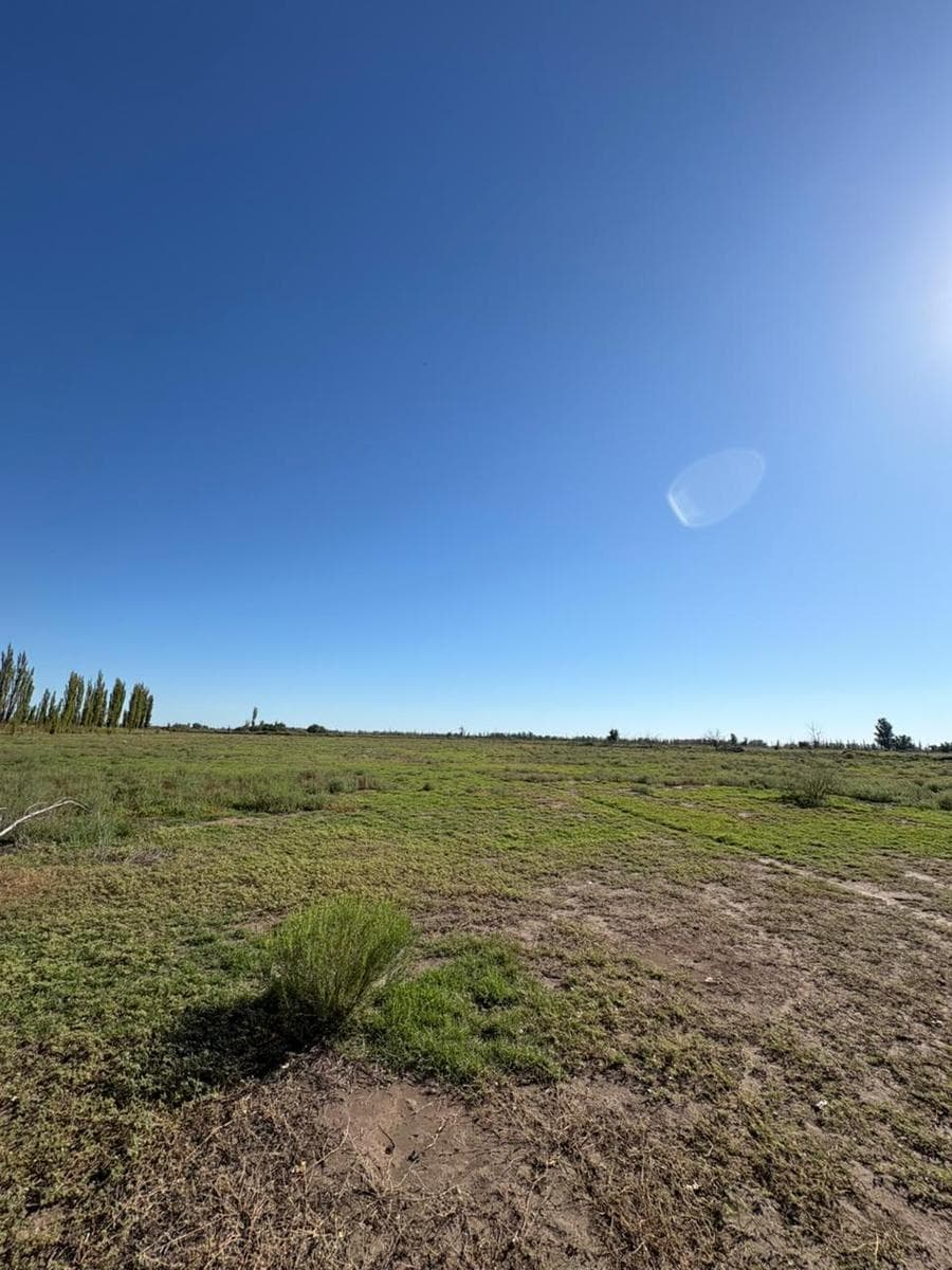 Land in Real Del Padre