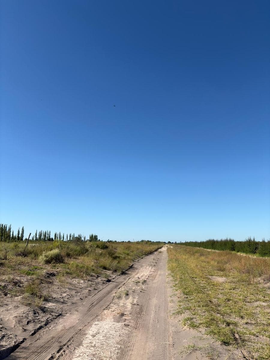 Land in Real Del Padre