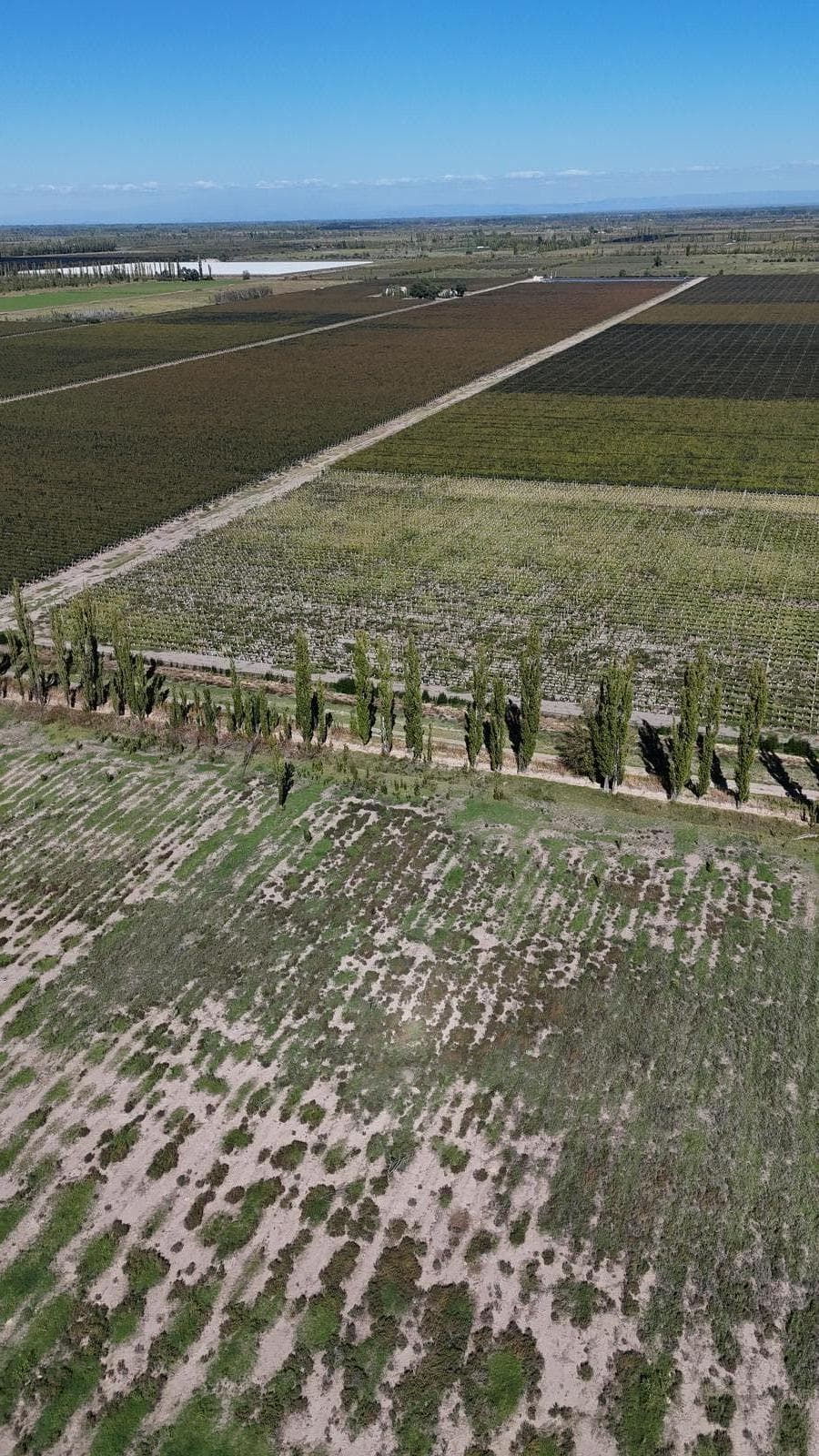 Land in Real Del Padre