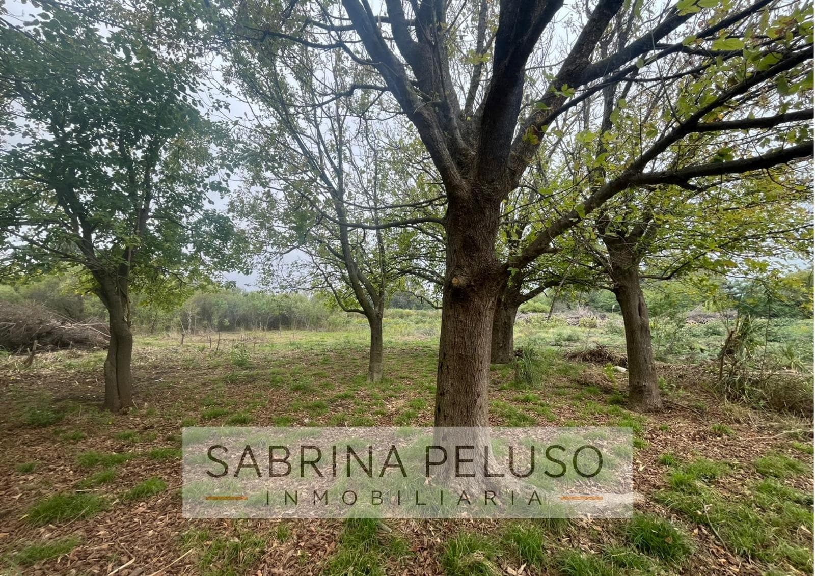 Land for Sale in Moreno