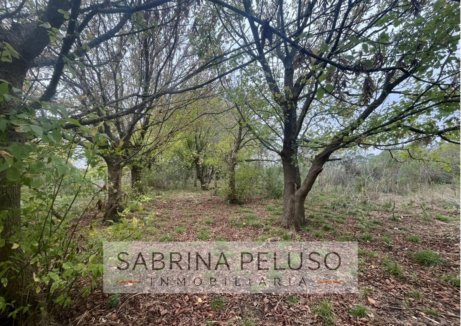 Land for Sale in Moreno