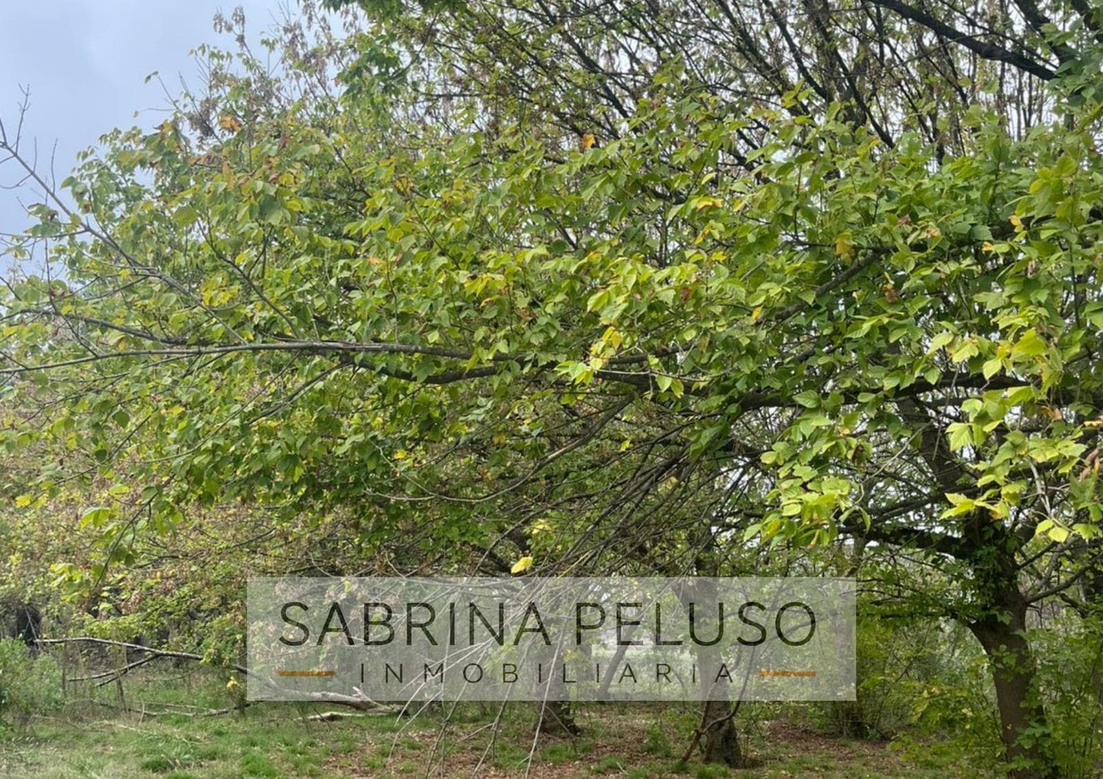 Land for Sale in Moreno