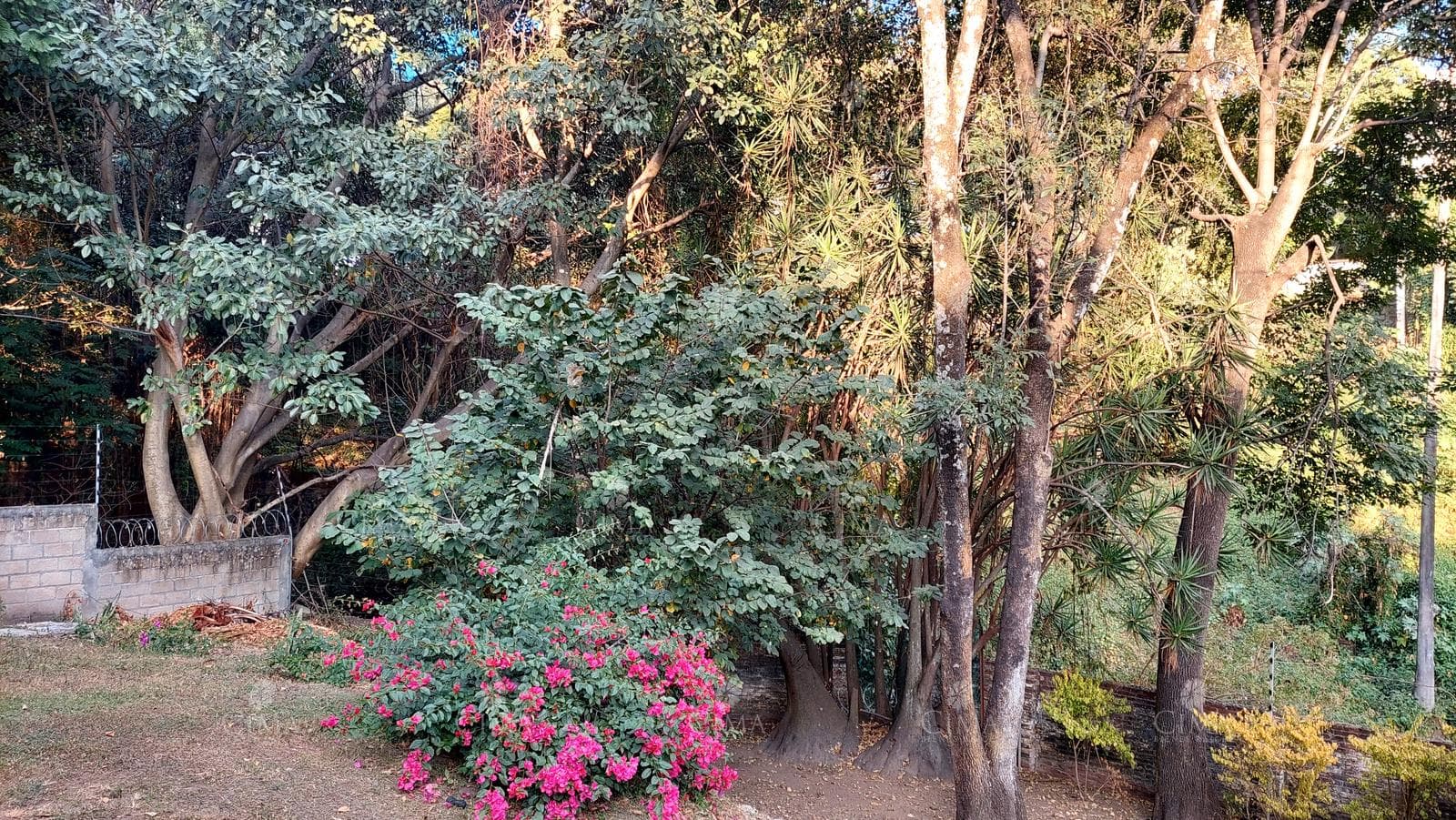 Venta casa en Miraval, Cuernavaca, Morelos - V394