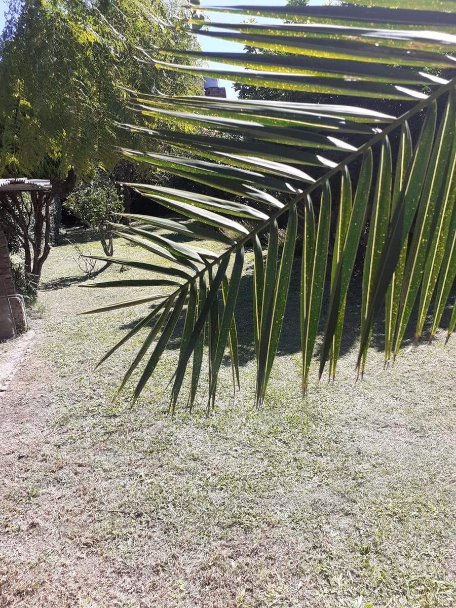 HOUSE FOR SALE: Needs Renovation, Large Lot in Berazategui