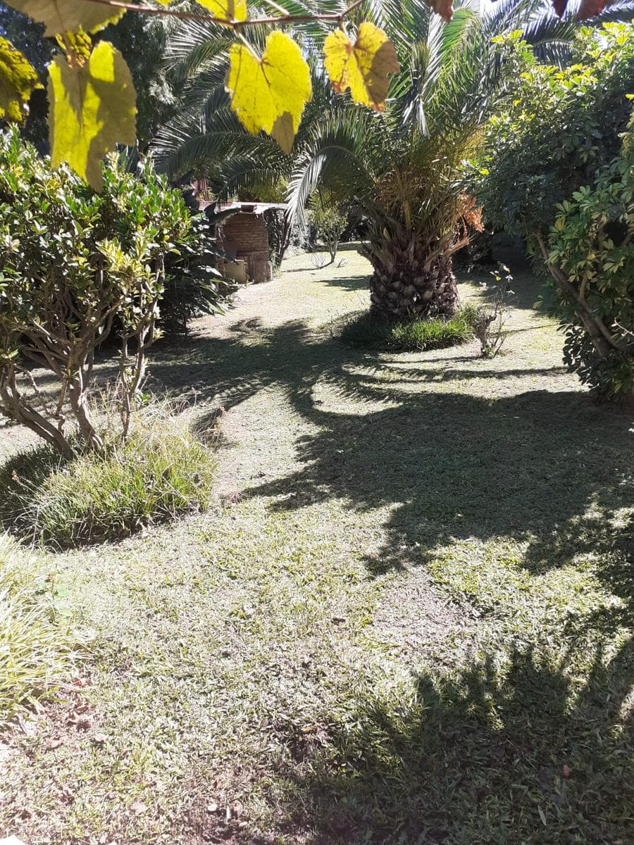 HOUSE FOR SALE: Needs Renovation, Large Lot in Berazategui