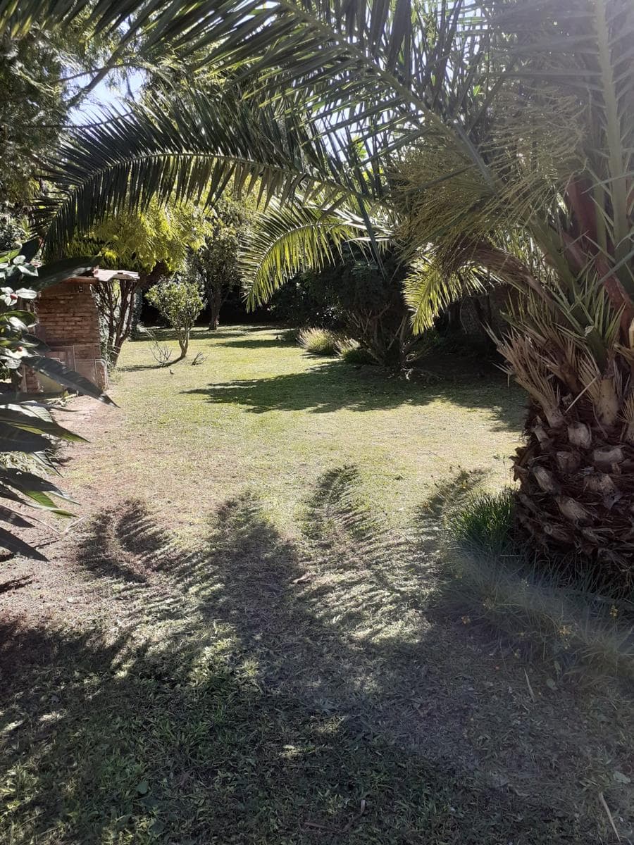 HOUSE FOR SALE: Needs Renovation, Large Lot in Berazategui