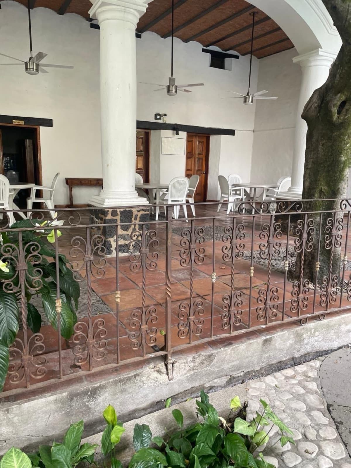 Apartment - Chapultepec