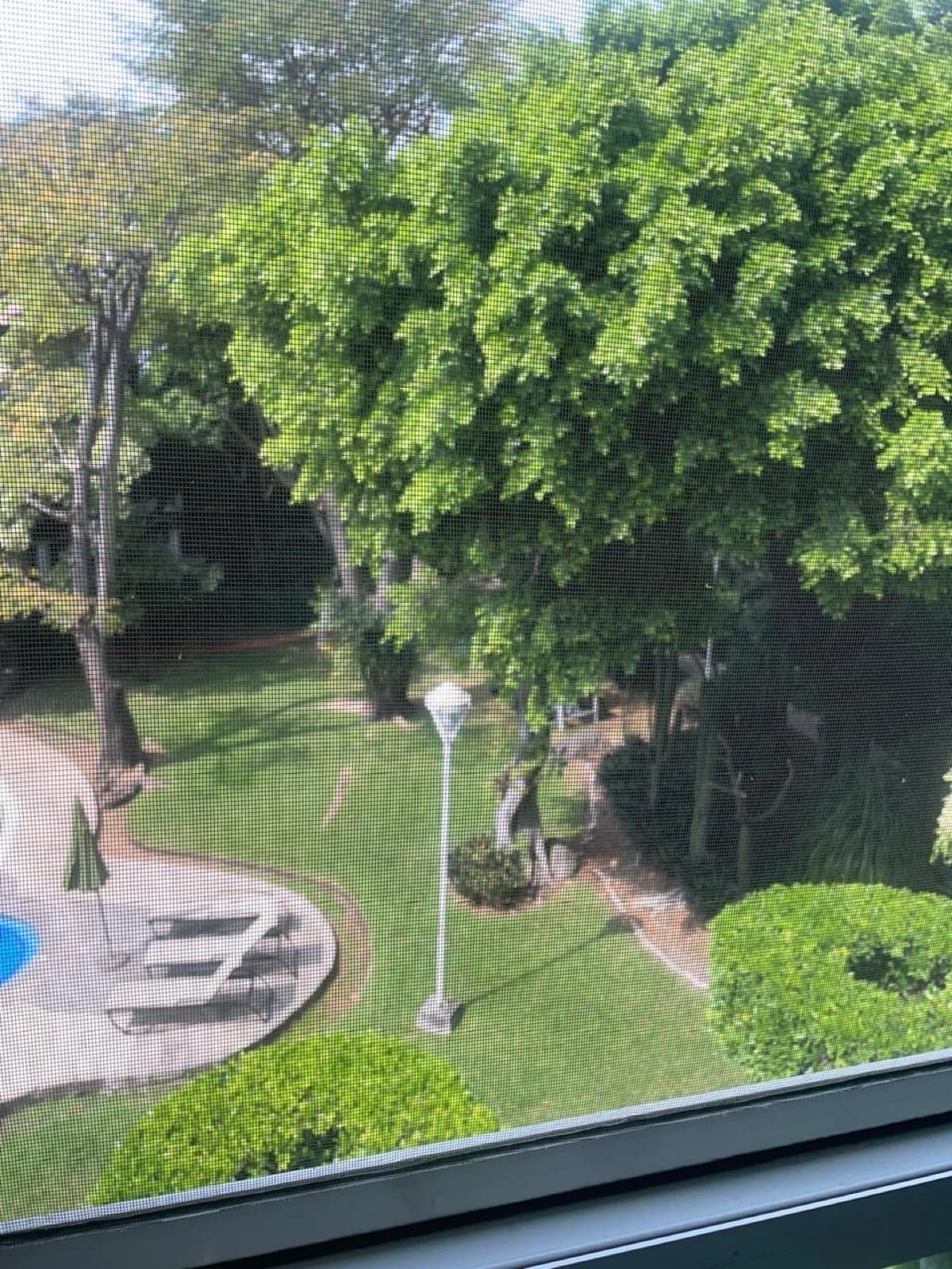 Apartment - Chapultepec