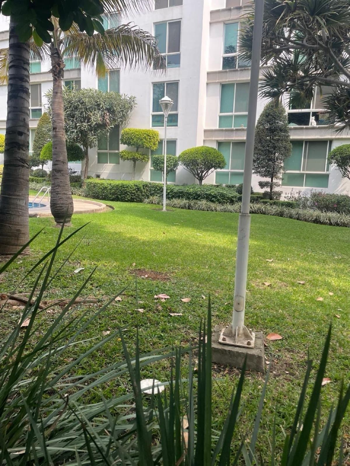 Apartment - Chapultepec