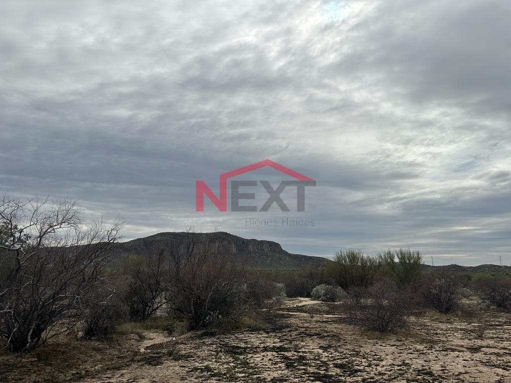 LAND FOR SALE IN EJIDO VILLA DE SERIS
