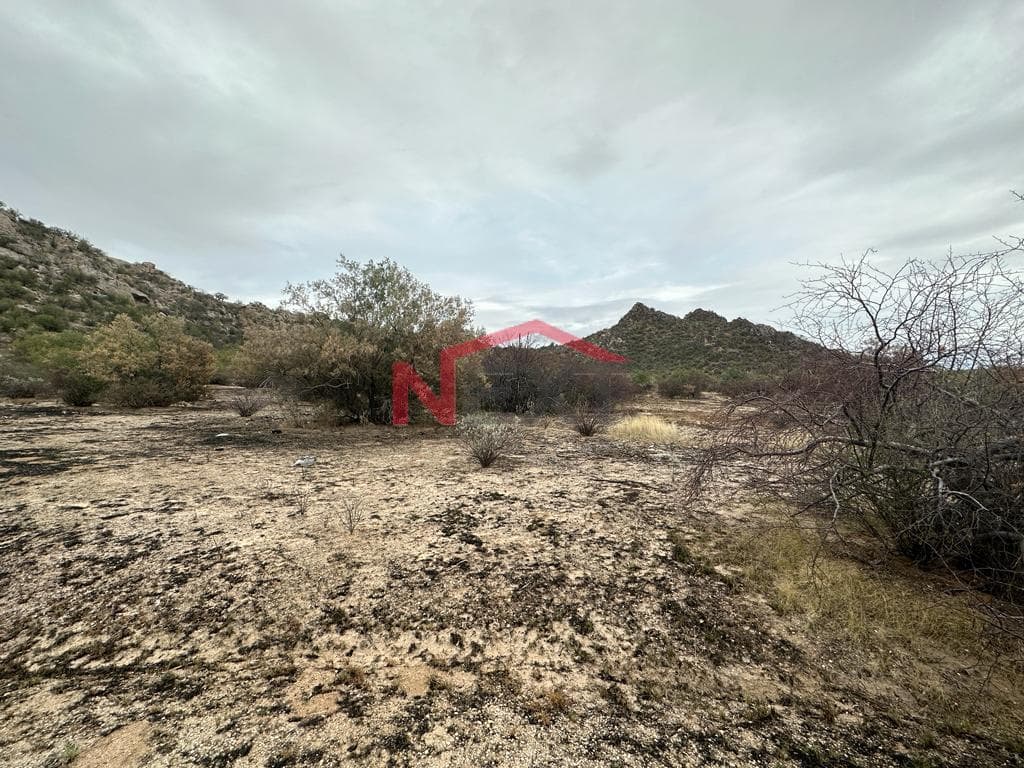 LAND FOR SALE IN EJIDO VILLA DE SERIS
