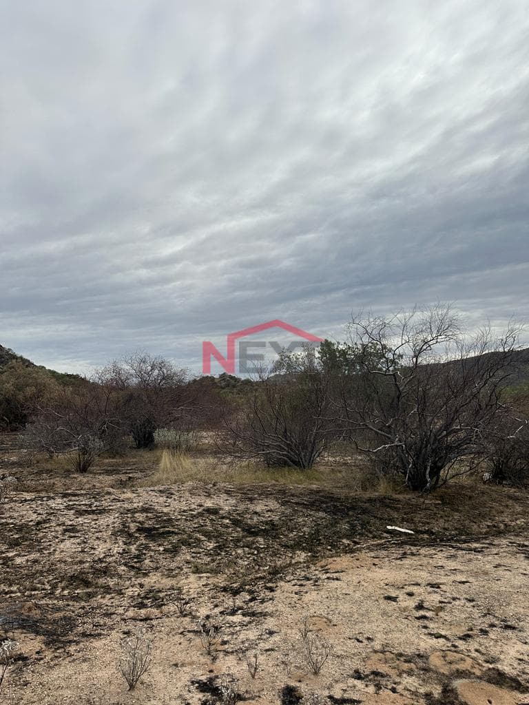 LAND FOR SALE IN EJIDO VILLA DE SERIS