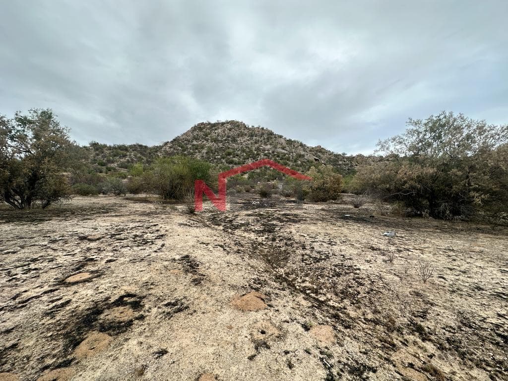 LAND FOR SALE IN EJIDO VILLA DE SERIS