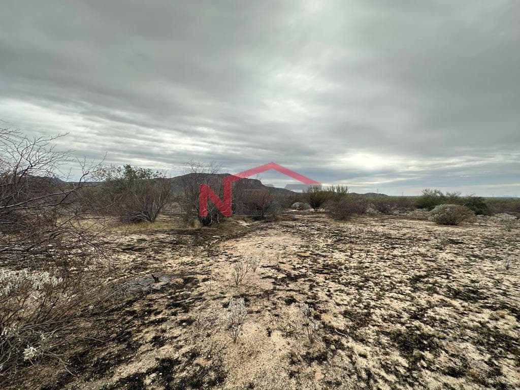 LAND FOR SALE IN EJIDO VILLA DE SERIS