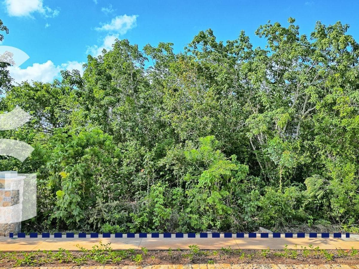 Lot for Sale in Cancun in the Losantos Residential Community with an Excellent Location