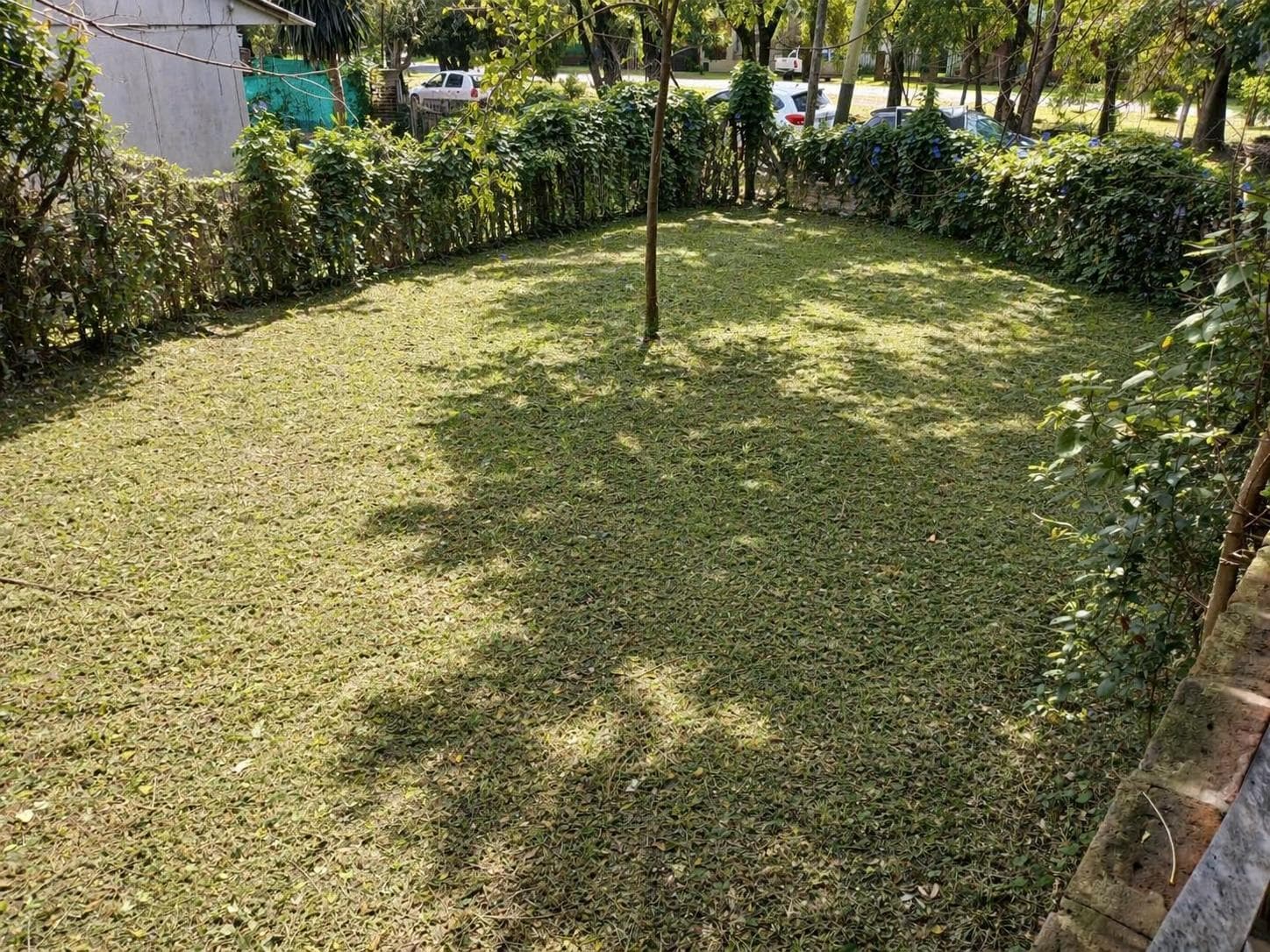 Land in De Vicenzo Grande, excellent location, for sale