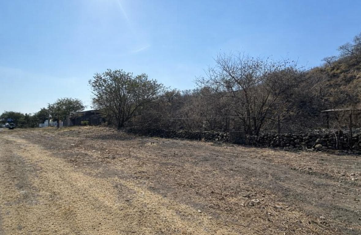 El Naranjo Property