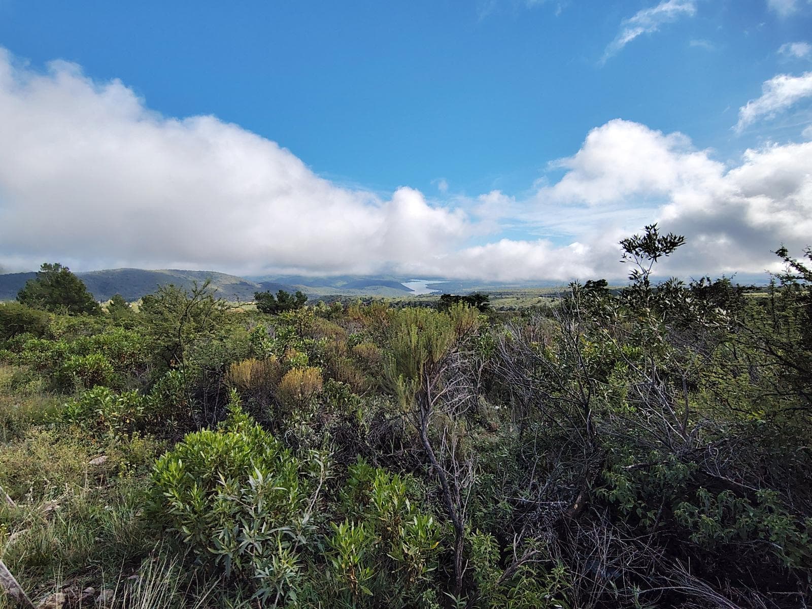 1,600 m² Lot with Deed | Unobstructed View of the Lake and Mountains | Los Hornillos
