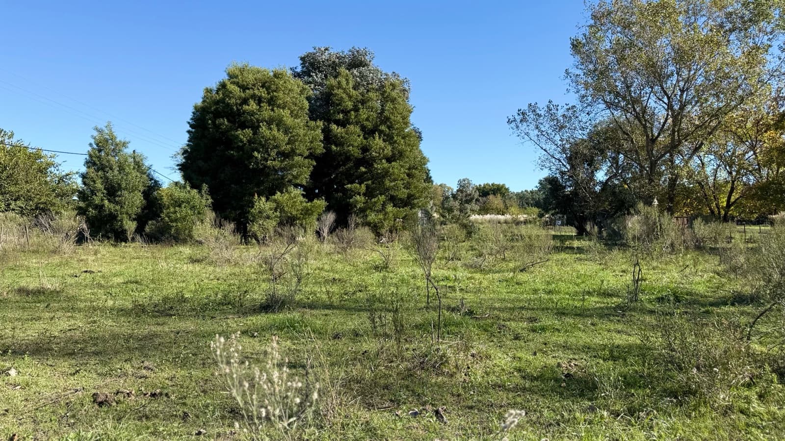 A unique opportunity to invest or build in one of the most sought-after areas of Lobos