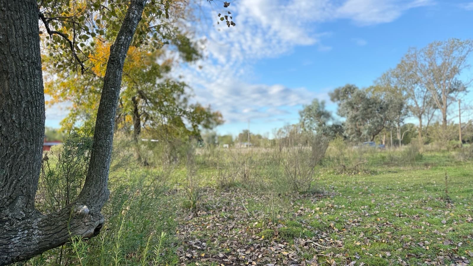 A unique opportunity to invest or build in one of the most sought-after areas of Lobos