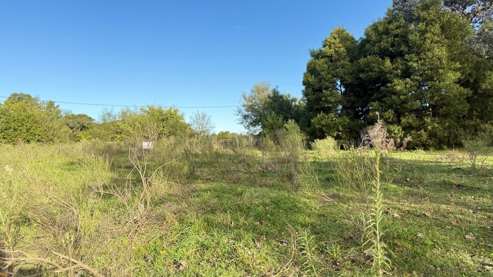 A unique opportunity to invest or build in one of the most sought-after areas of Lobos