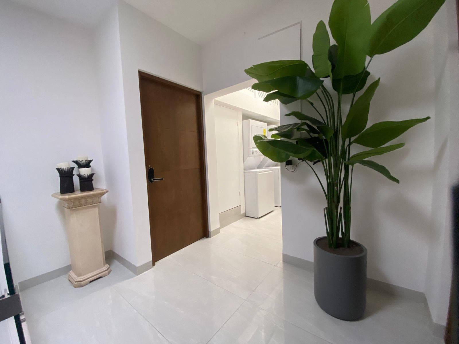 Loft en renta Valle Oriente