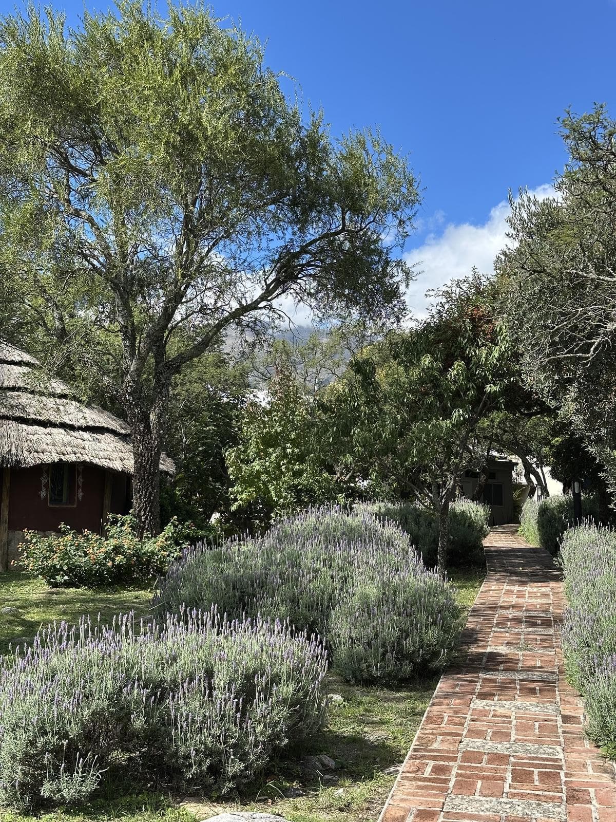 Eco-villa for sale in Las Chacras | Fully furnished | Ready to move in or rent out