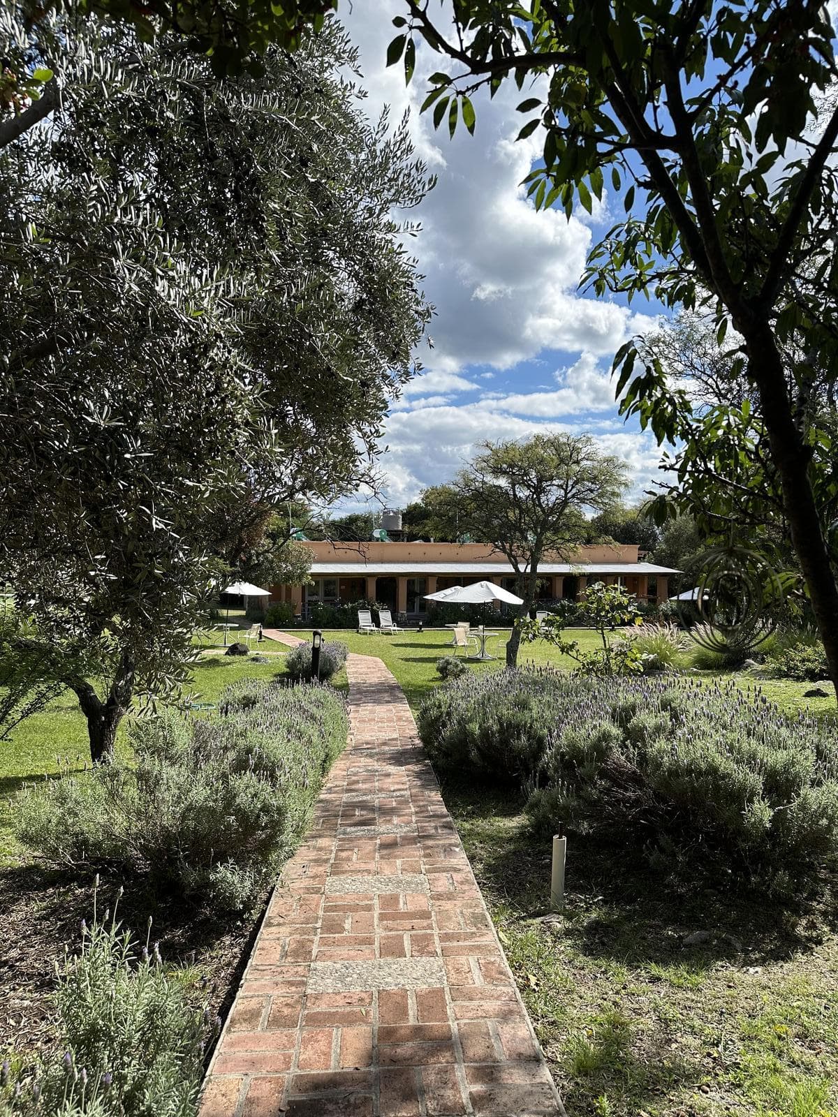Eco-villa for sale in Las Chacras | Fully furnished | Ready to move in or rent out