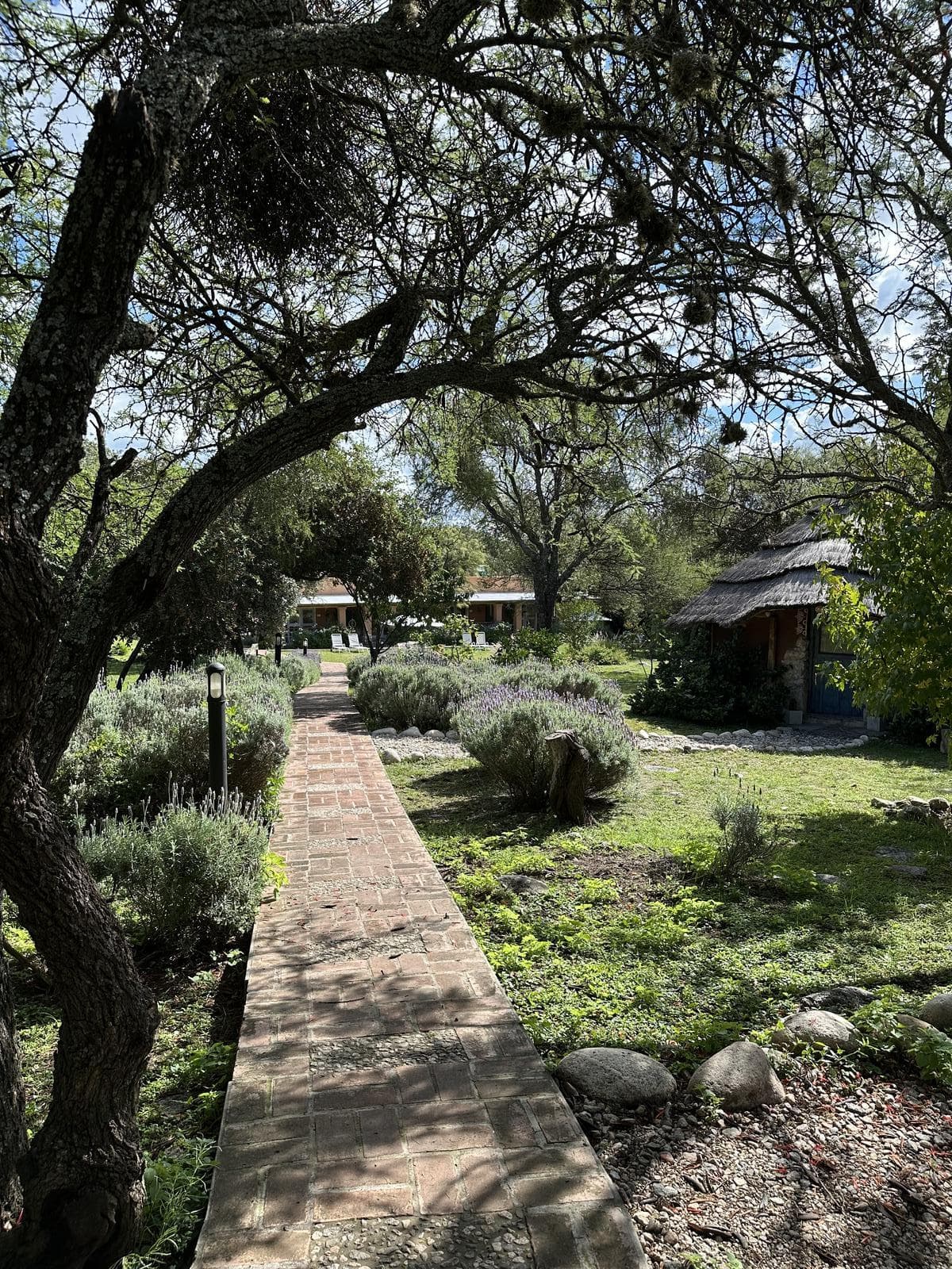 Eco-villa for sale in Las Chacras | Fully furnished | Ready to move in or rent out