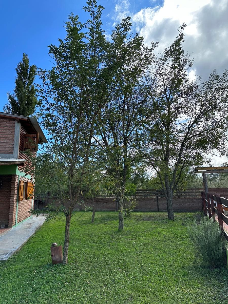 OPPORTUNITY | Complex of 3 Cabins in Nono with a Pool | Currently in Operation